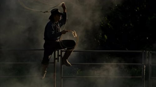 Cowboy Sitting on Fence with Lasso at Dusk