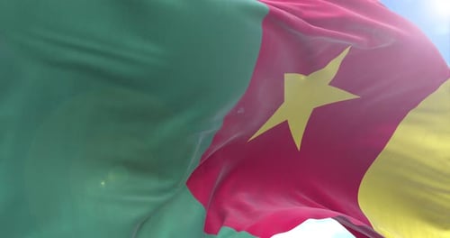 Waving Flag of Cameroon in Realistic 3D Animation