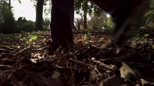 Walking Through Autumn Leaves in Shaded Forest, Slow Motion Close Up on Feet