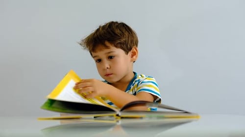 Young Boy Reads Colorful Book Indoors