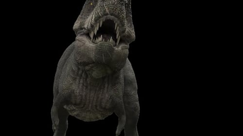 3D Animated Roaring Tyrannosaurus Rex Dinosaur Loop
