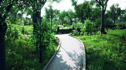 Serene Summer Park Pathway with Lush Greenery Animation