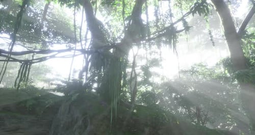 Sunlight Filtering Through Lush Foliage in a Vibrant Jungle Paradise