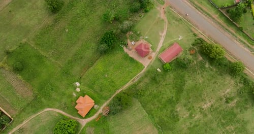 Aerial view of road with buildings and trees, Uganda.