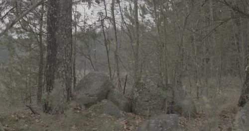 Remains of Ancient Slavic Temple