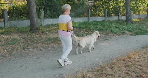 Elderly Woman Walking with a Golden Retriever on a Leash Along a Park Path on a Sunny Day