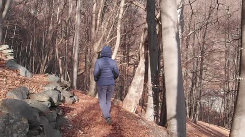 POV slow motion rear view unrecognizable person walking alone in alpine forest backlight, healthy li