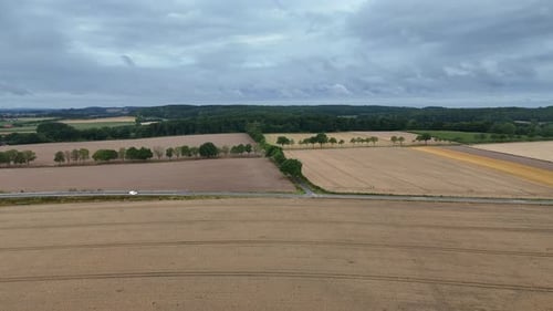 Harvested brown wheat fields and driving white car on intersection road. Aerial forward wide shot. G