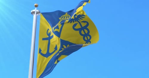 Realistic Waving Flag with Crown Anchor Caduceus Symbols