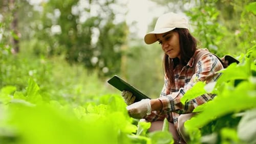 A Female Botanist Researches Plant Species and Works on a Digital Tablet in the Rainforest