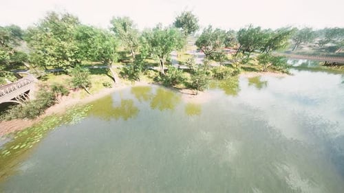 Aerial View of Beautiful Park