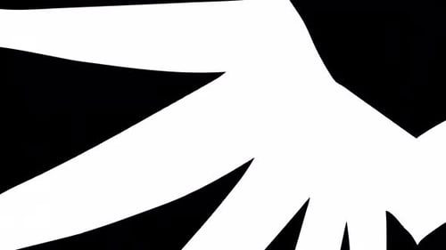 Dynamic Fluid White Wipe Transition