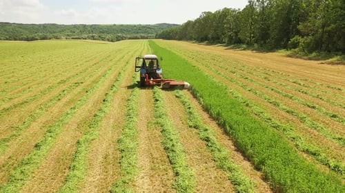 Tracteur fauchant l'herbe verte sur le terrain.