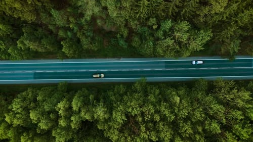 Automobile Driving Along Forest Highway Gold Crossover Moving Under Cloudy Sky Top View Machine