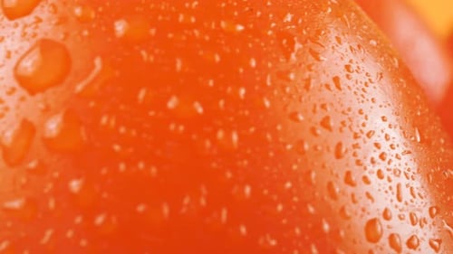 Close-Up of Fresh Orange Bell Peppers with Water Droplets