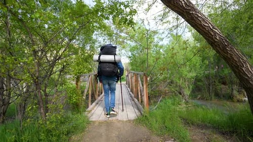 Travel video male walking in a beautiful nature in spring