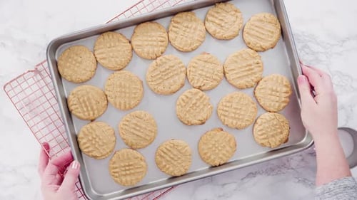 Fresh Baked Cookies on Cookie Sheet