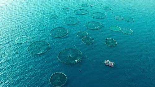 Cages of Offshore Aquaculture Fish Farm in Sea for Cultivation Fish