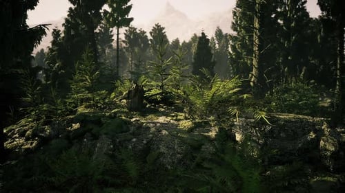 Serene Forest Walkway Illuminated By Dappled Sunlight and Falling Leaves