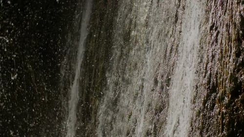 Pure Fresh Water Stream In Mountains Clean Water River Flowing