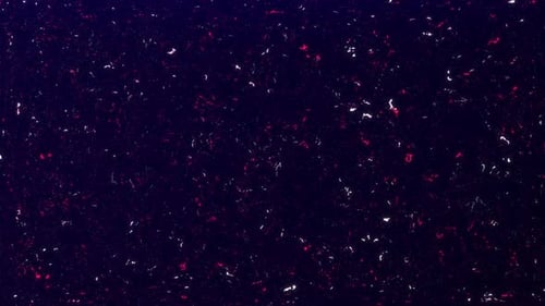 Abstract Glitch Particle Noise Background Loop