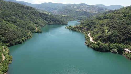 Lake and Green Forest