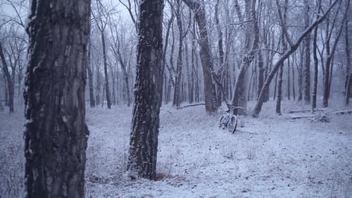 Snow covered forest with abandoned bicycle among bare winter trees