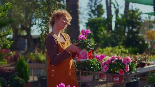 Young Woman Selecting Potted Flowers at Sunny Garden Center