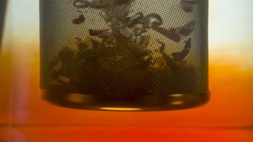 Brewing Tea with Infuser Close Up