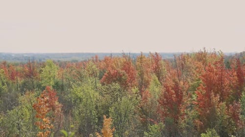 Colorful Autumn Foliage Landscape Against Sunny Sky At Cheltenham Badlands In Caledon, Ontario Canad