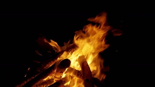 Fire LOOP - 2K