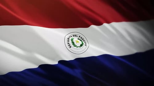 Paraguay National Flag Waving Loop Background