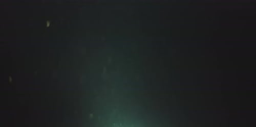 Natural Dust Particles
