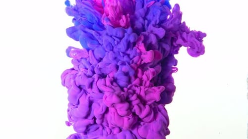 Pink and Blue Paint Dropped into Water