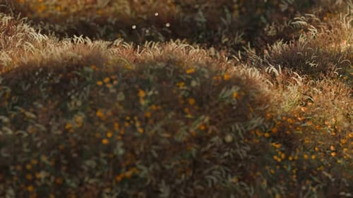 Wavy Grass 3d Loop Animation