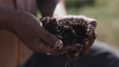 Farmer holding vermicompost ground soil in hands, close up