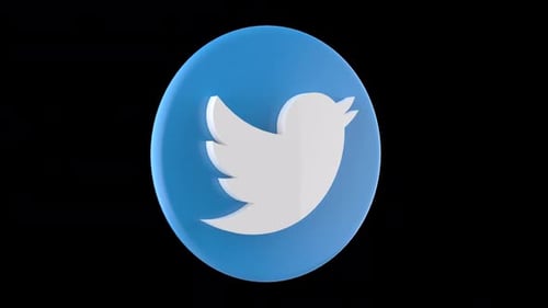 Twitter logo alpha