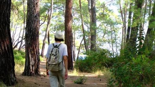 Woman Walks in Forest with Backpack on Trail