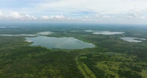Agusan Marsh Wildlife Sanctuary in the Philippines