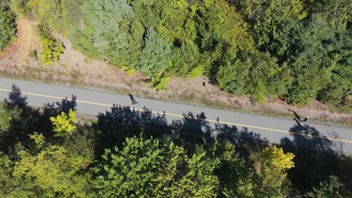 Aerial View Athletic Man Jogging On Sunny Trail In City Park Surrounded By Trees
