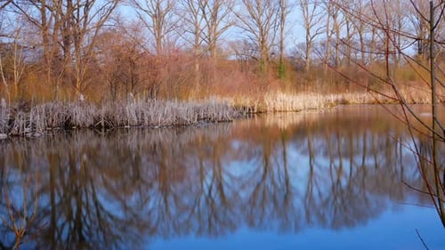 A time-lapse of a reflection changing overtime on a pond