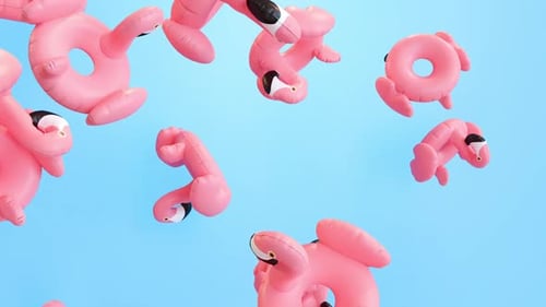 Falling Floating Flamingo