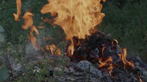 Bonfire with burning embers and flames.