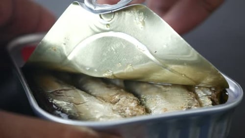 Opening a Can of Shiny Sardines Close-up