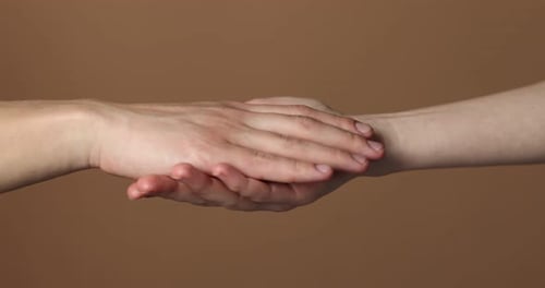 Pair of Hands Joining Together in Support