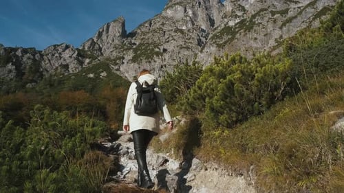 Beautiful Female Traveler Walks Through the Forest to the Mountains Incredibly Beautiful Views in