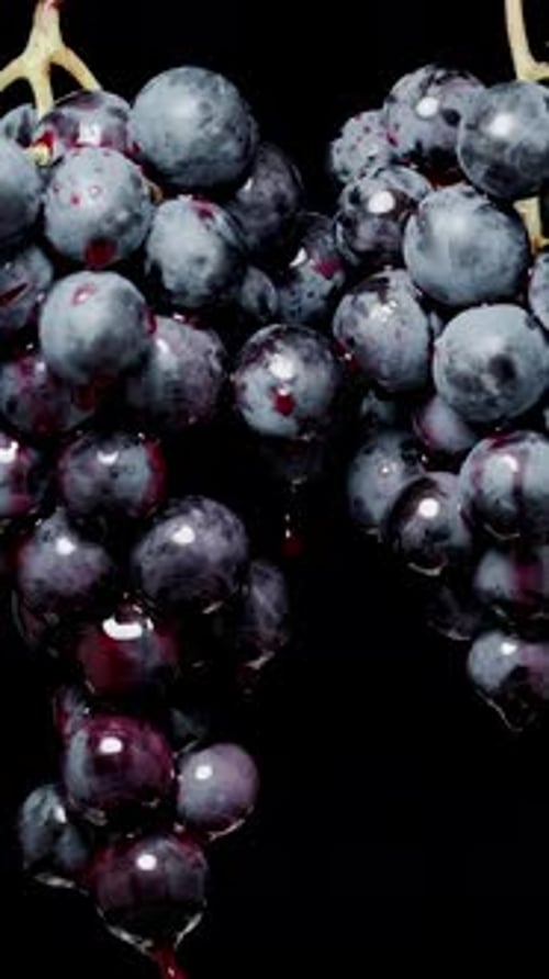 Vertical video. Two clusters of grapes with blue round berries, against a black background.