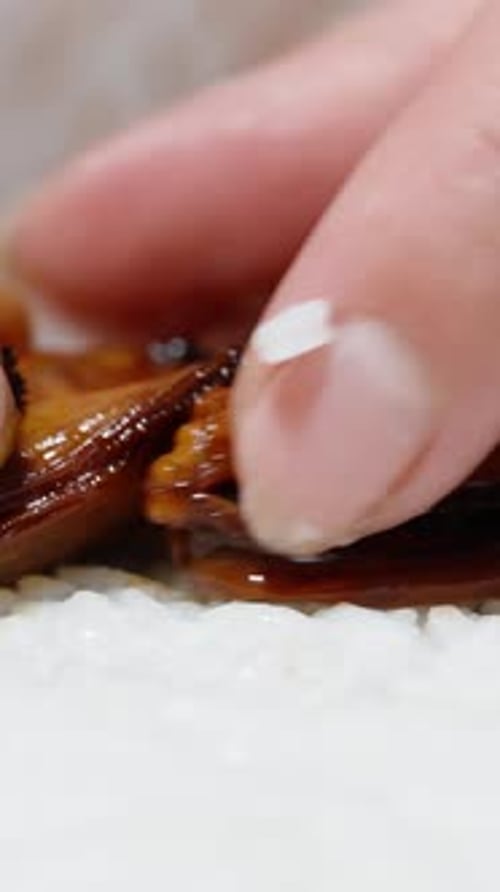 Vidéo verticale. La femme étale la chair de moules cuite uniformément sur la couche de riz en gros plan
