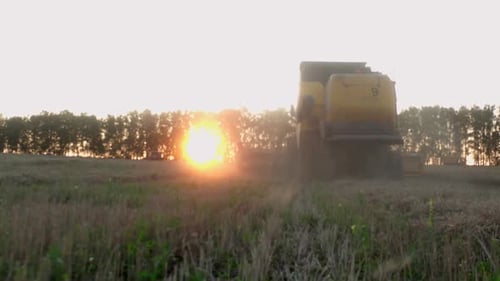 Harvester Thresher recueille des céréales en conduisant le long d'un champ