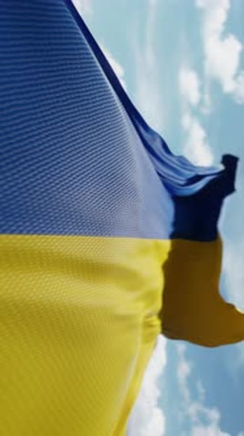 Dynamic Textured Blue Yellow Flag Waving Vertical Background